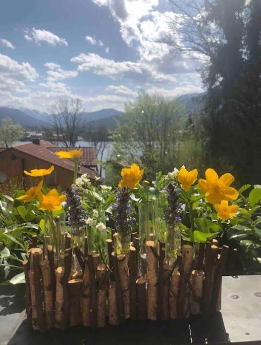 See- Und Bergblick In Bestlage Am Tegernsee Ngoại thất bức ảnh